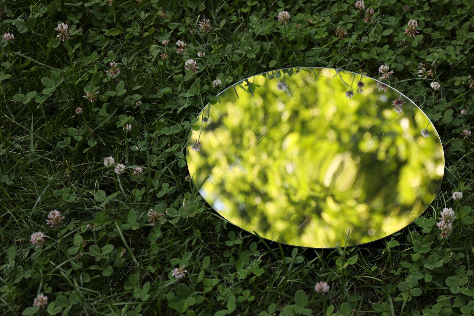 Photo of Round mirror among clovers reflecting tree leaves. Space for text