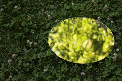 Photo of Round mirror among clovers reflecting tree leaves. Space for text