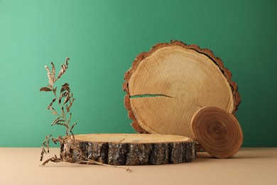 Photo of Presentation for product. Wooden stumps and dry plant on color background