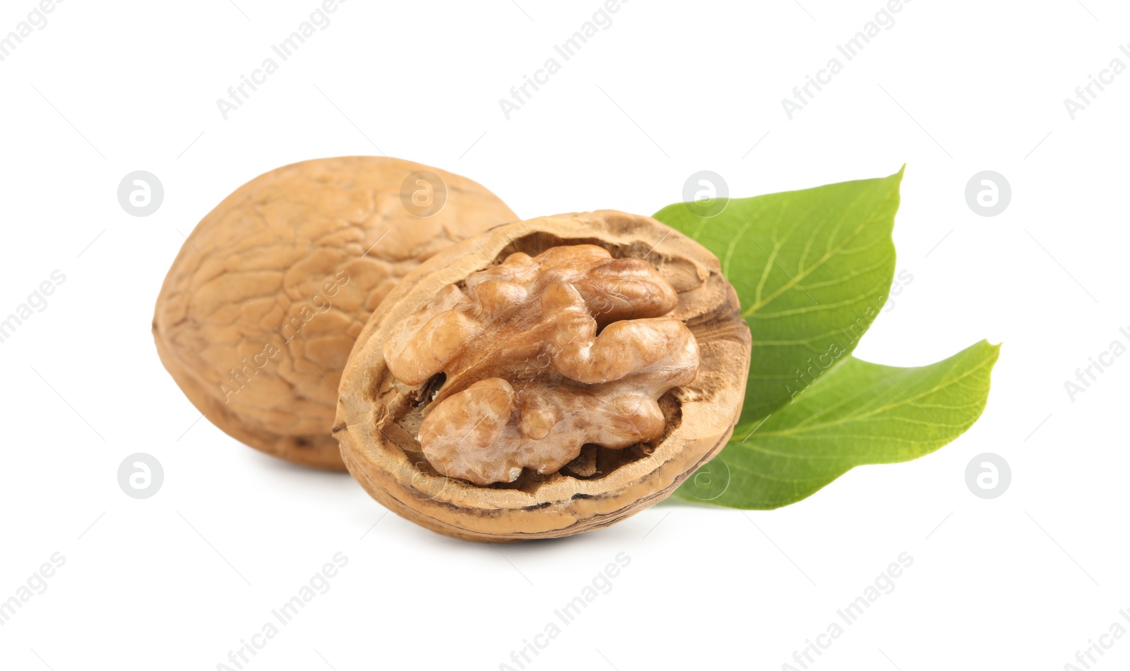 Photo of Fresh ripe walnuts with leaves on white background