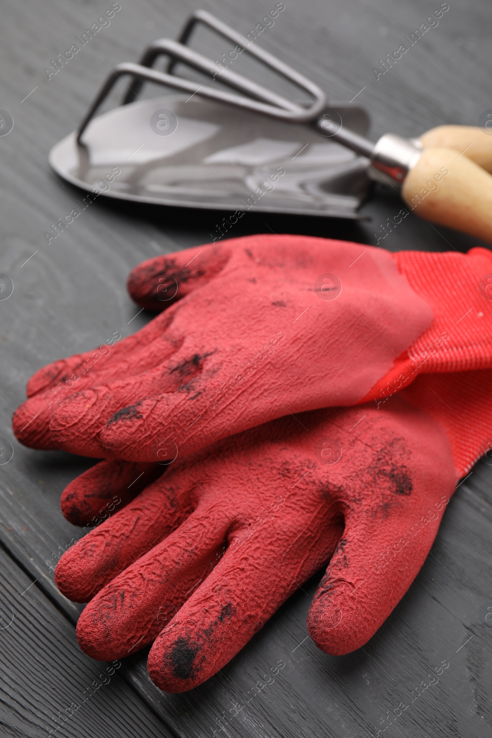 Photo of Gardening gloves, trowel and rake on grey wooden table, closeup