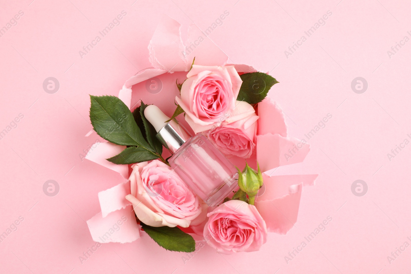 Photo of Flat lay composition with rose essential oil on pink background