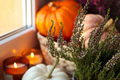 Photo of Beautiful heather flowers, basket with pumpkins and candles near window indoors, closeup. Space for text