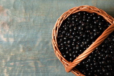 Ripe blackcurrants in wicker basket on wooden rustic table, top view. Space for text