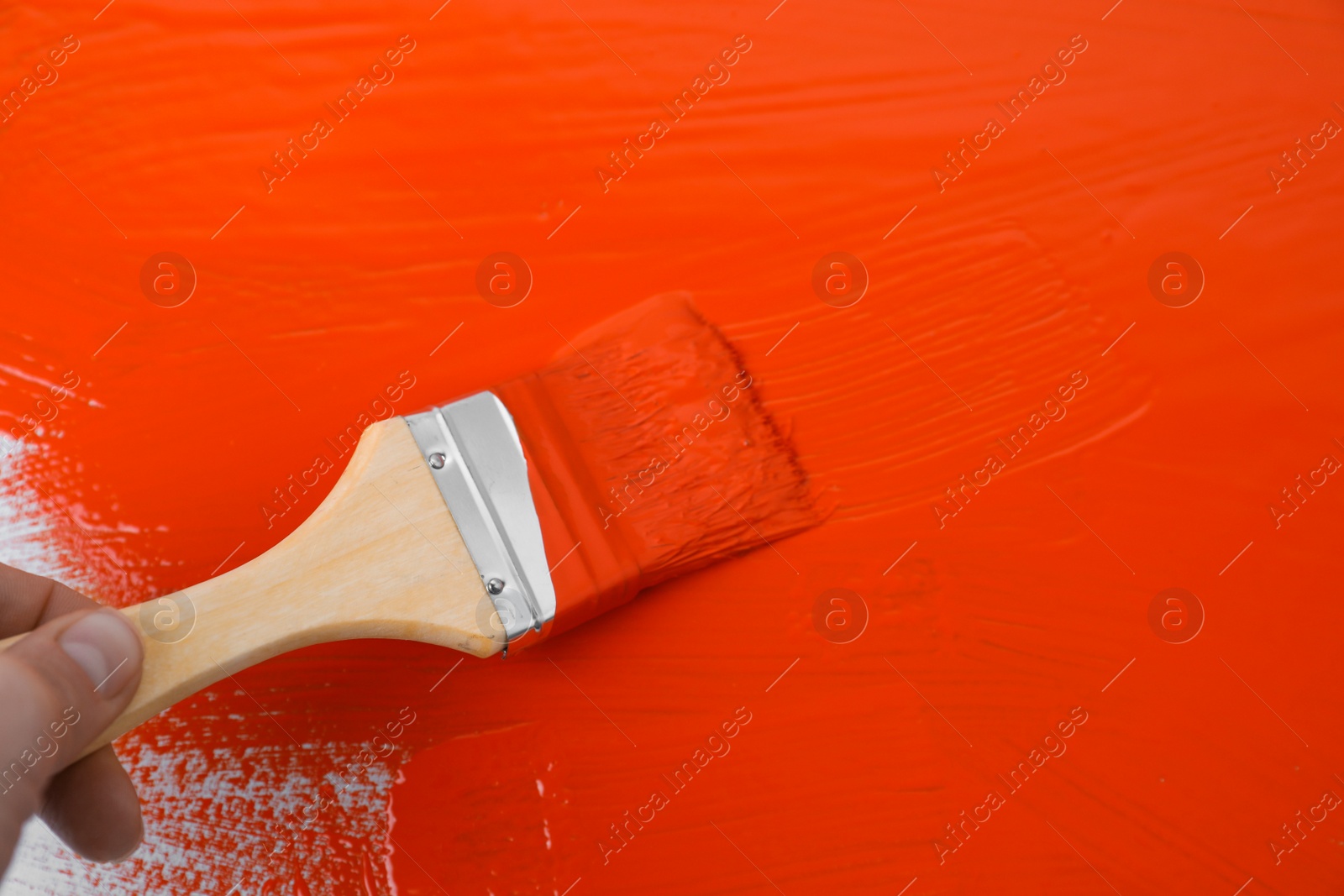 Photo of Man applying orange paint with brush on white background, closeup