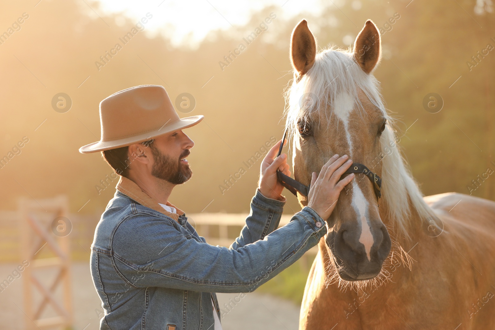 Photo of Man with adorable horse outdoors on sunny day. Lovely domesticated pet