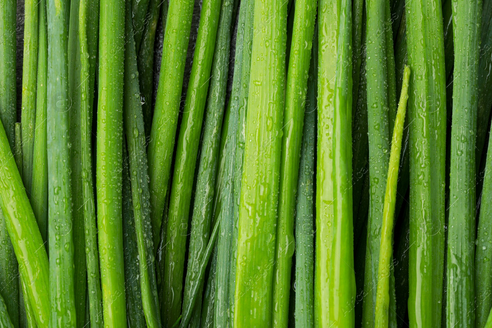 Photo of Fresh green spring onions with water drops as background, top view