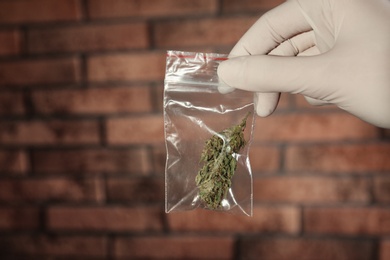 Photo of Police worker holding hemp in plastic bag, closeup. Space for text
