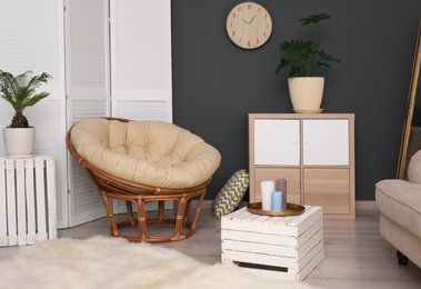 Tropical plants with green leaves and papasan chair in room interior