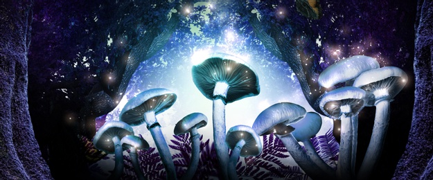Image of Fantasy world. Mushrooms with magic lights in enchanted forest, banner design