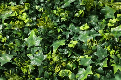 Photo of Green artificial plants as background, closeup view