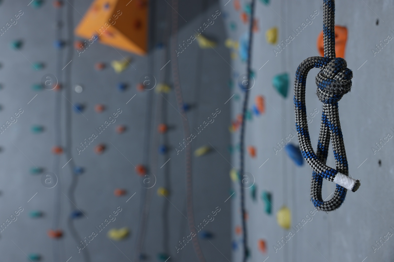 Photo of Climbing rope and colorful wall with holds in gym, space for text