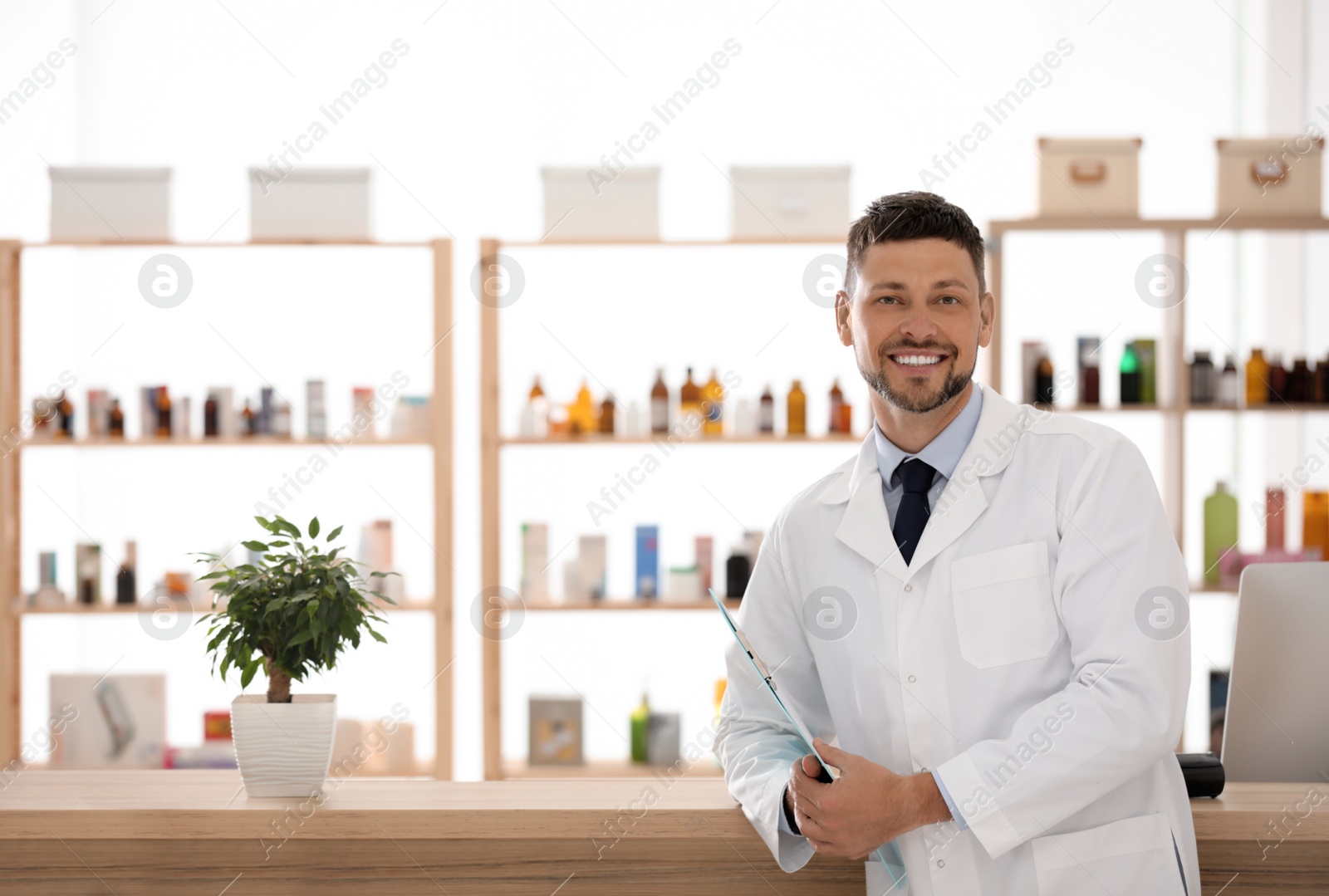 Photo of Professional pharmacist in drugstore. Space for text