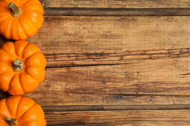 Ripe orange pumpkins on wooden table, flat lay. Space for text