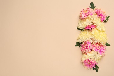 Photo of Beautiful chrysanthemums with leaves on beige background, flat lay. Space for text