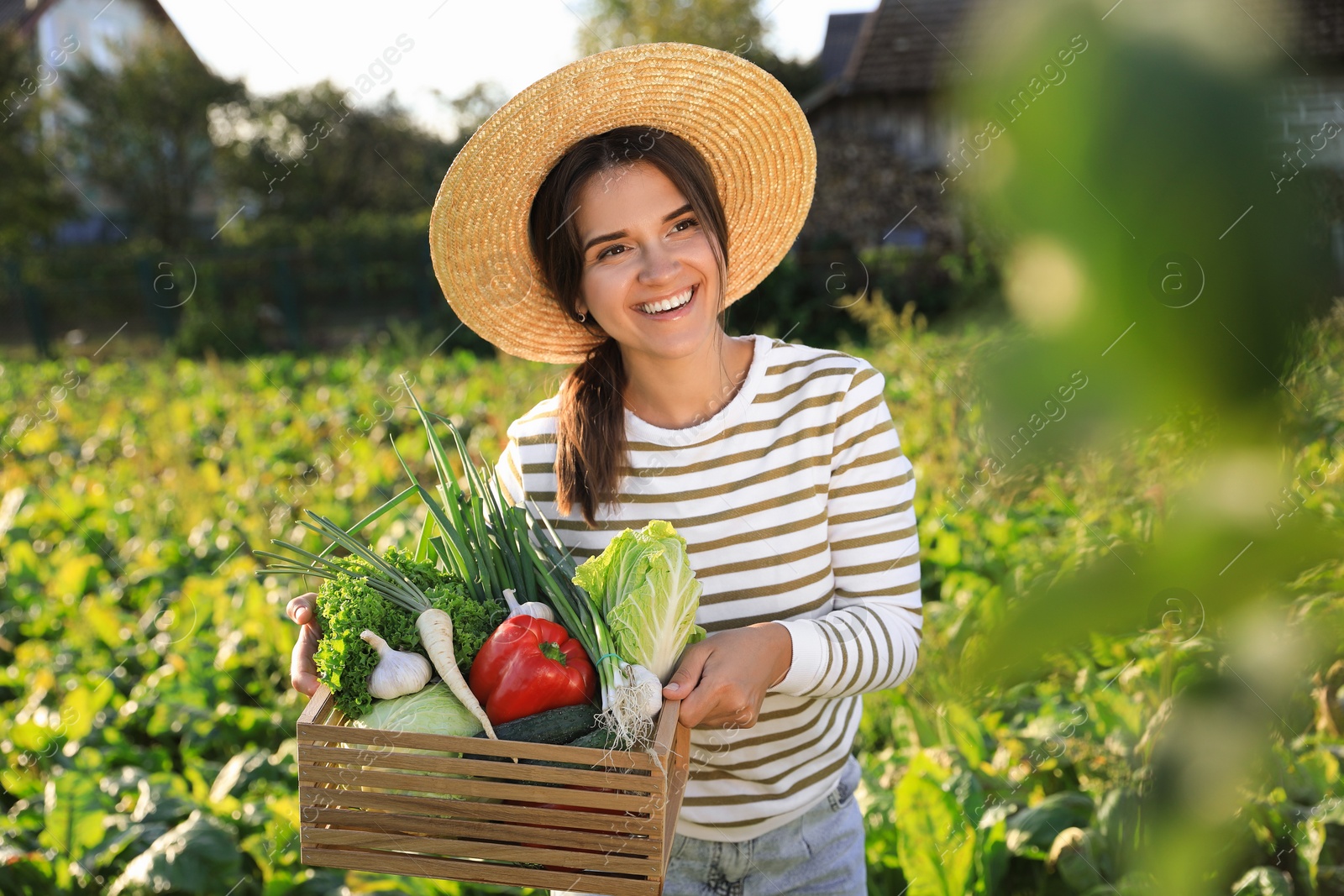 Photo of Woman with crate of different fresh ripe vegetables on farm