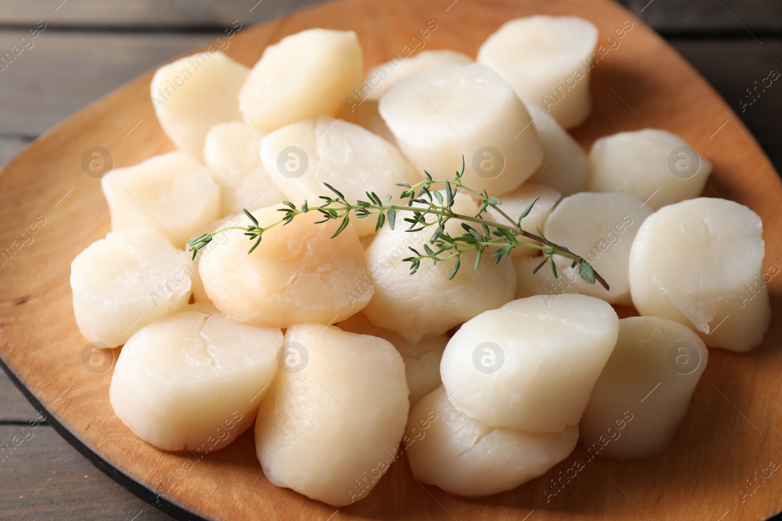 Photo of Fresh raw scallops and thyme on wooden table, closeup