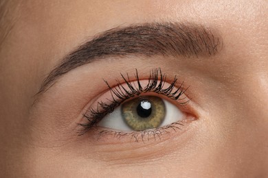 Photo of Young woman with permanent eyebrow makeup, closeup