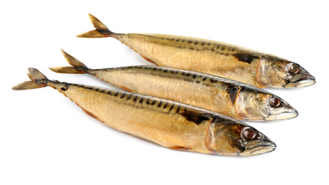 Photo of Tasty smoked mackerel fish isolated on white, top view