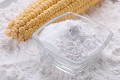 Photo of White corn starch and cob on powder, closeup