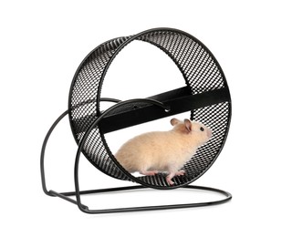 Photo of Cute little hamster in spinning wheel on white background