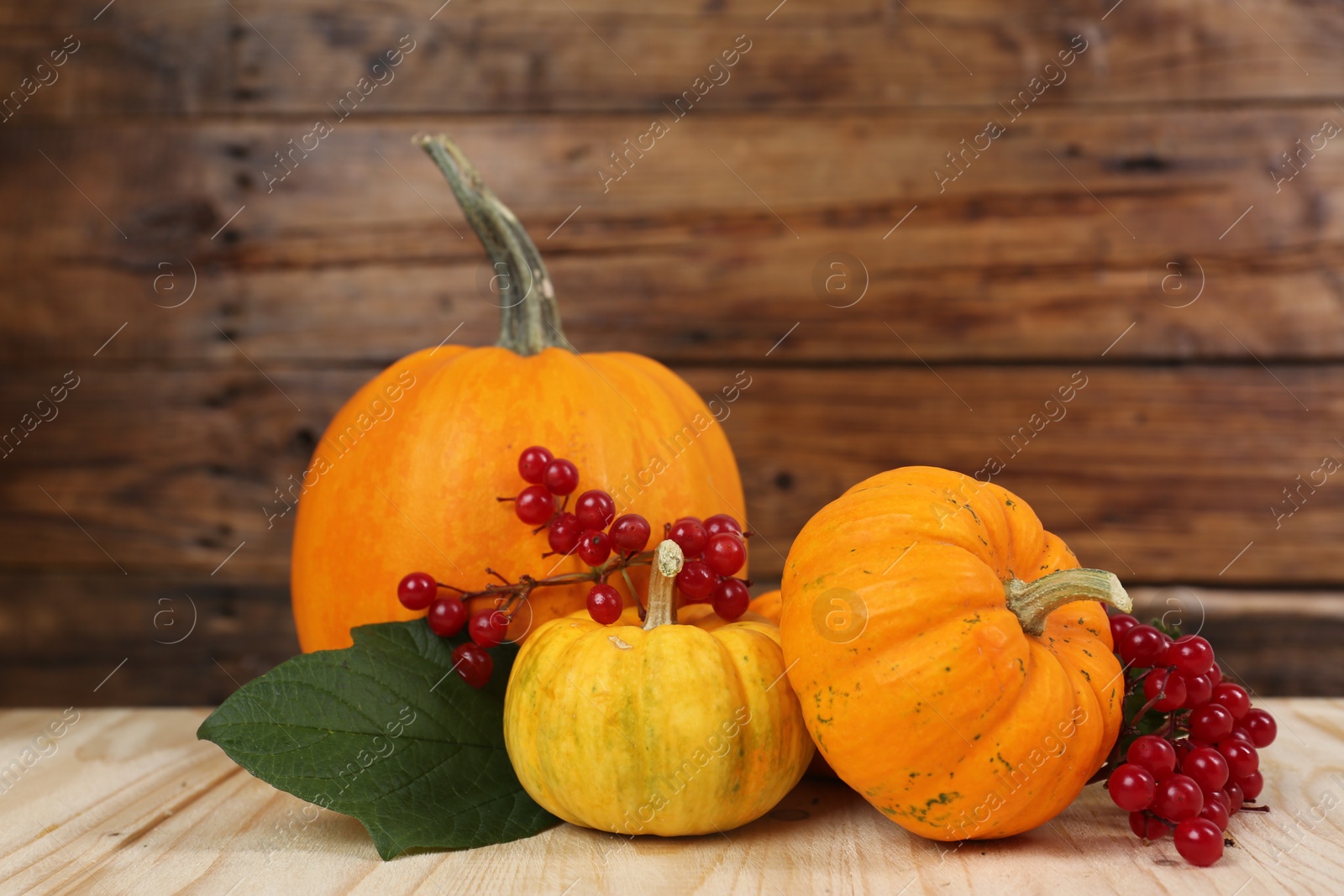 Photo of Happy Thanksgiving day. Pumpkins and berries on wooden table