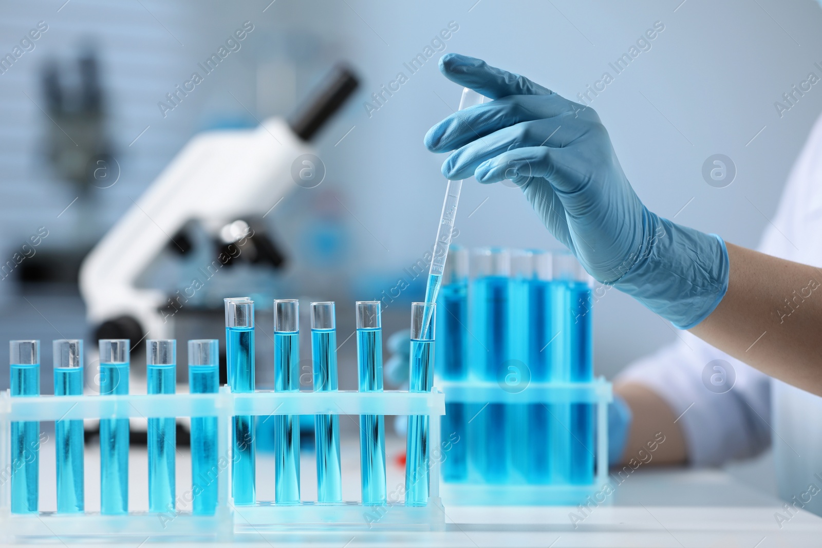 Photo of Scientist taking sample with dropper from test tube in laboratory, closeup