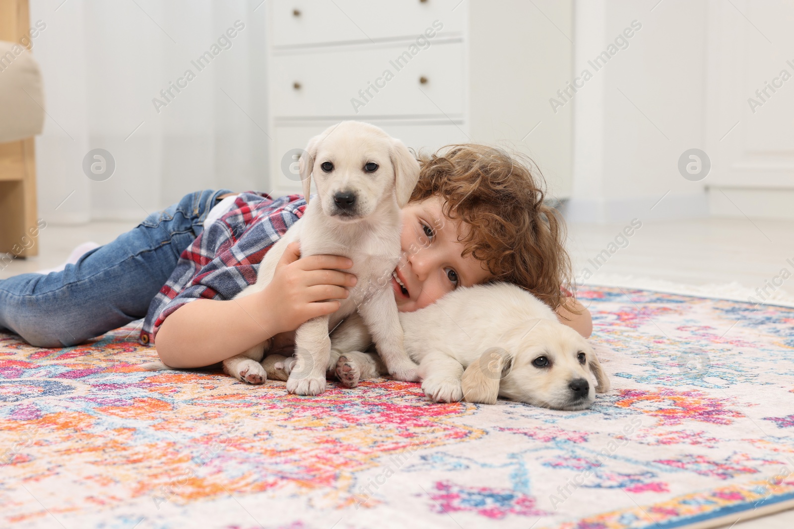 Photo of Little boy with cute puppies on carpet at home