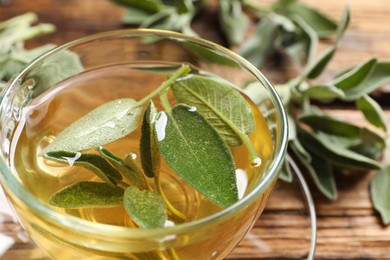 Cup of aromatic sage tea with fresh leaves on wooden table, closeup