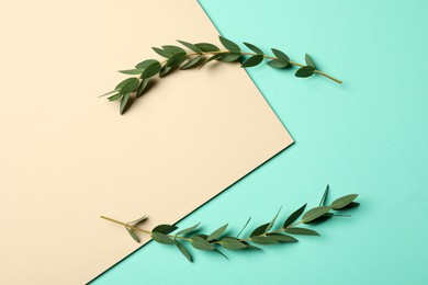 Eucalyptus branches with fresh green leaves on color background, flat lay. Space for text