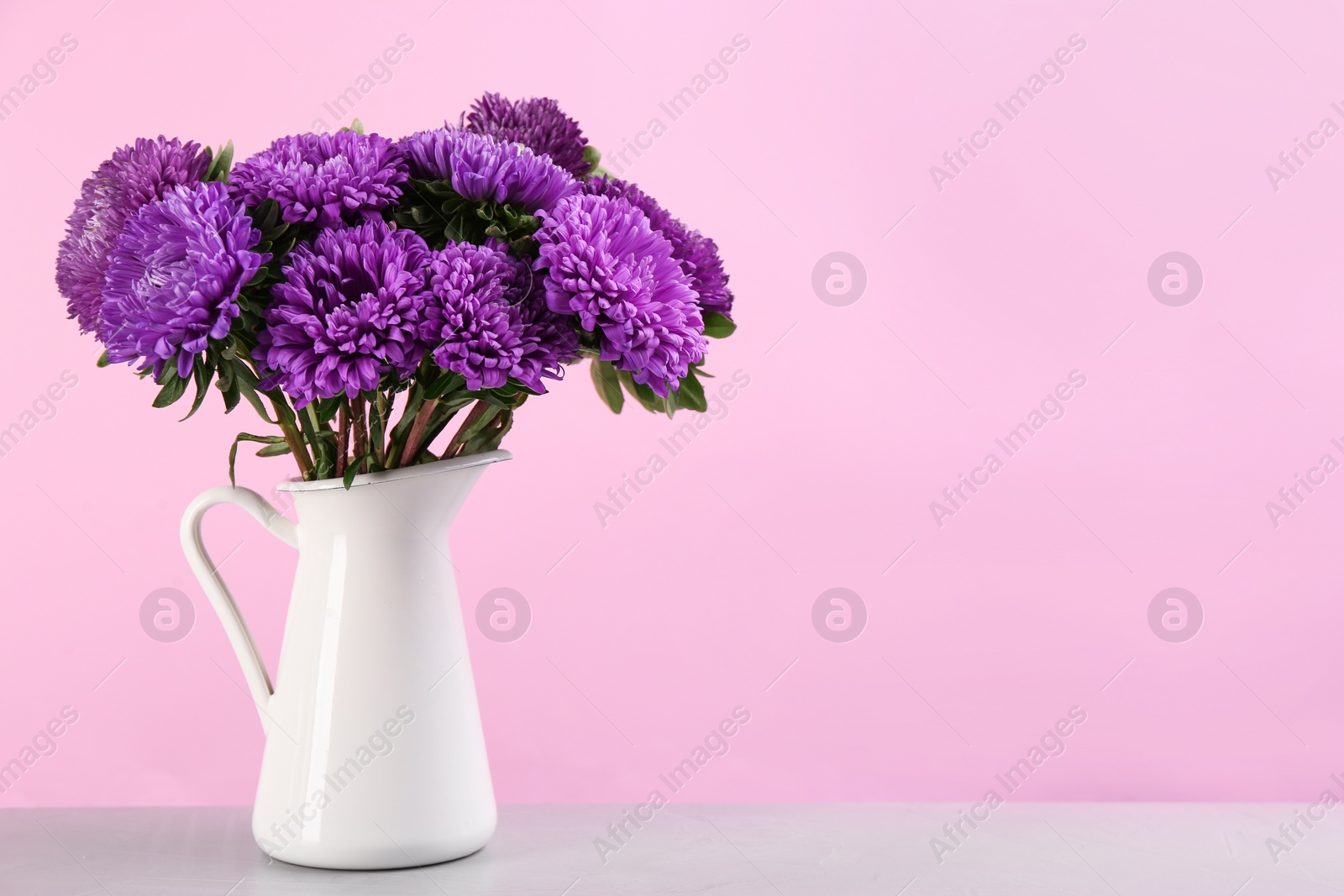 Photo of Beautiful asters in jug on table against pink background, space for text. Autumn flowers