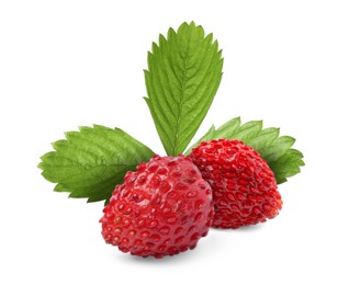 Image of Fresh ripe wild strawberries with green leaves isolated on white