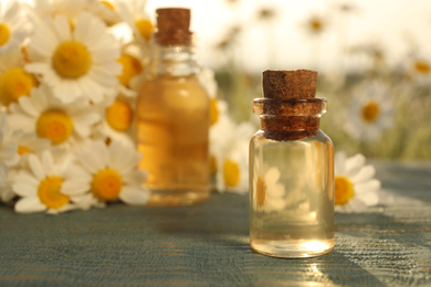 Bottle of chamomile essential oil on blue wooden table in field