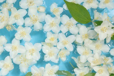 Photo of Beautiful jasmine flowers and green leaves in water on light blue background, top view