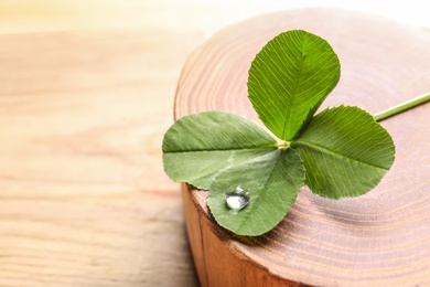 Green four-leaf clover on wooden background with space for text