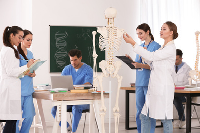 Photo of Medical students studying human skeleton anatomy in classroom
