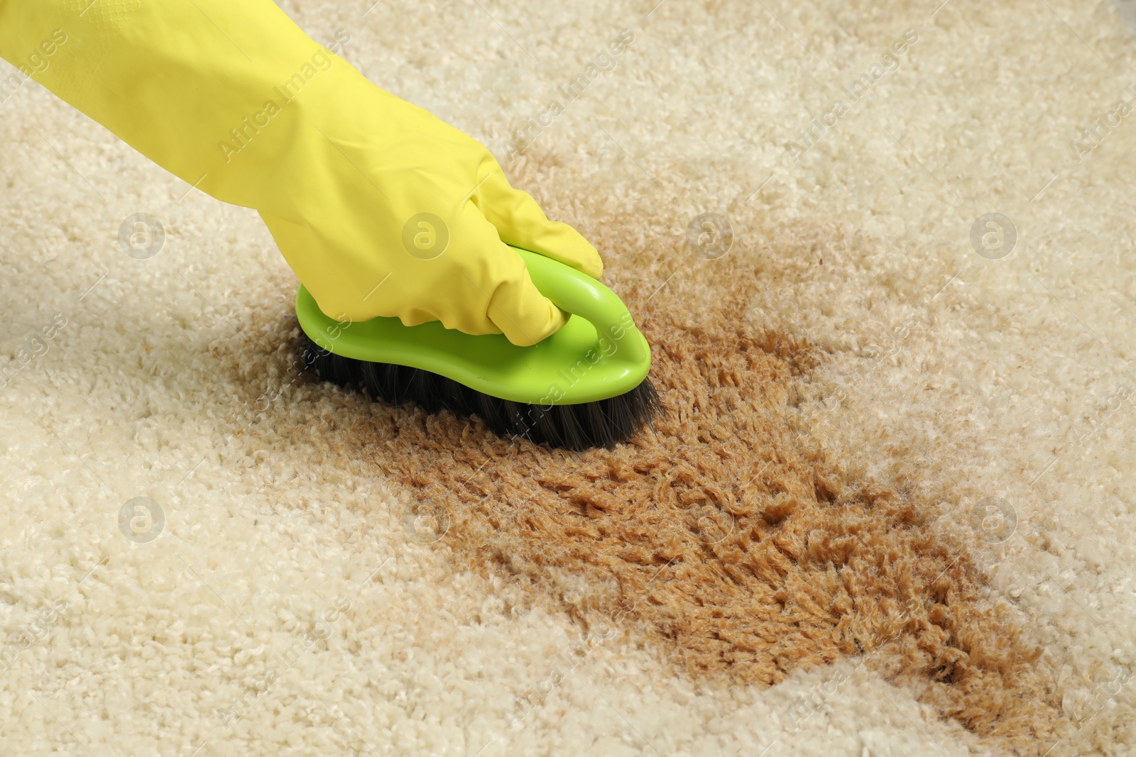 Photo of Woman removing stain from beige carpet, closeup