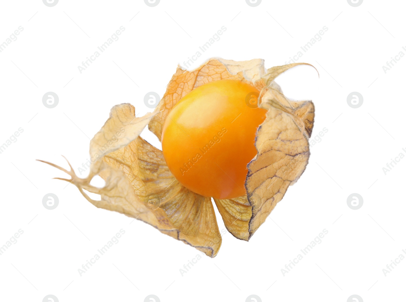 Photo of Ripe physalis fruit with calyx isolated on white