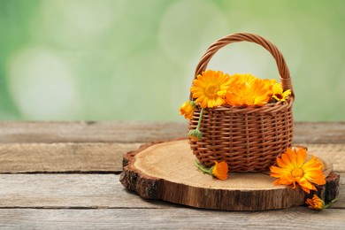 Photo of Beautiful fresh calendula flowers in wicker basket on wooden table against blurred green background, space for text