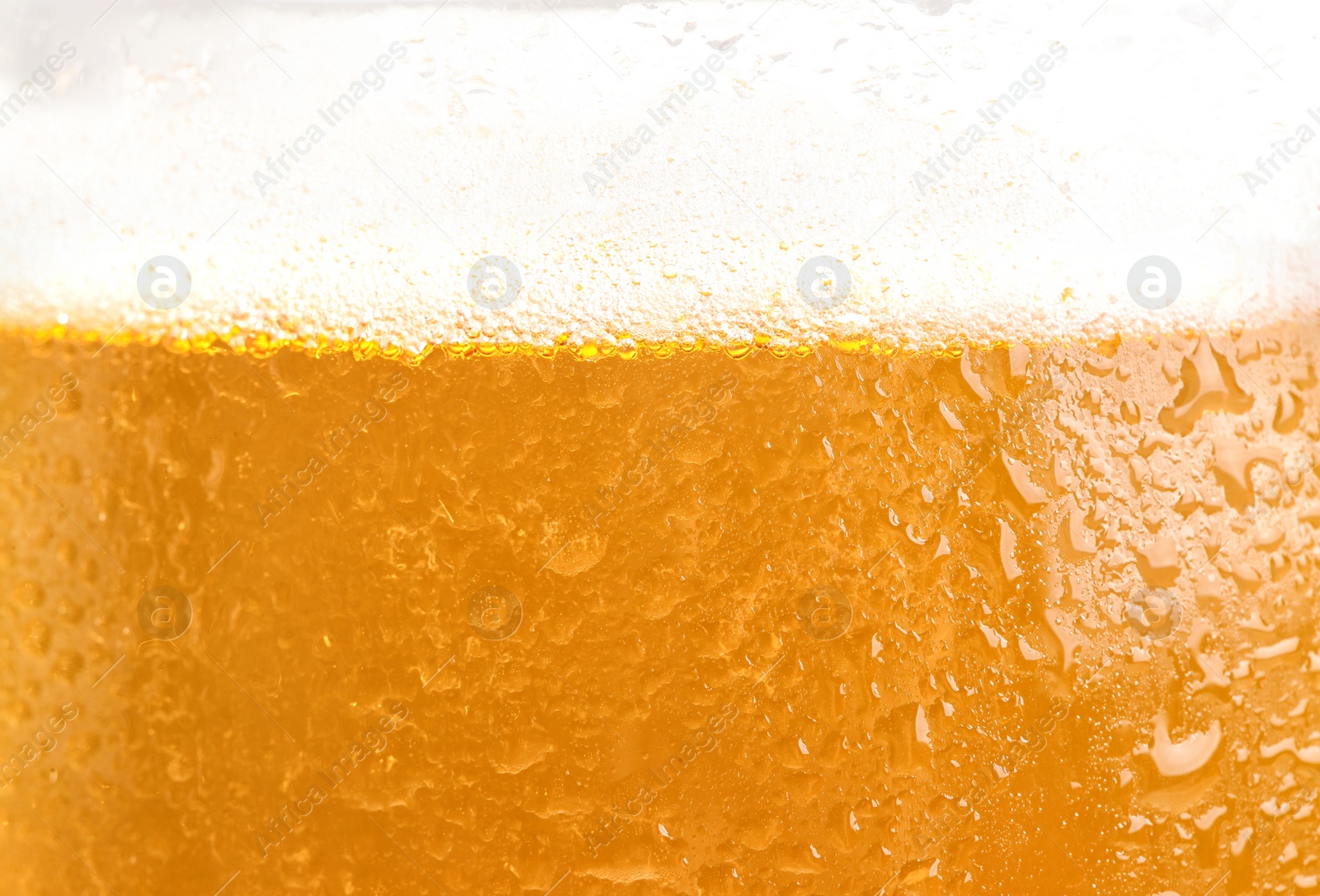 Photo of Glass of tasty beer with foam, closeup