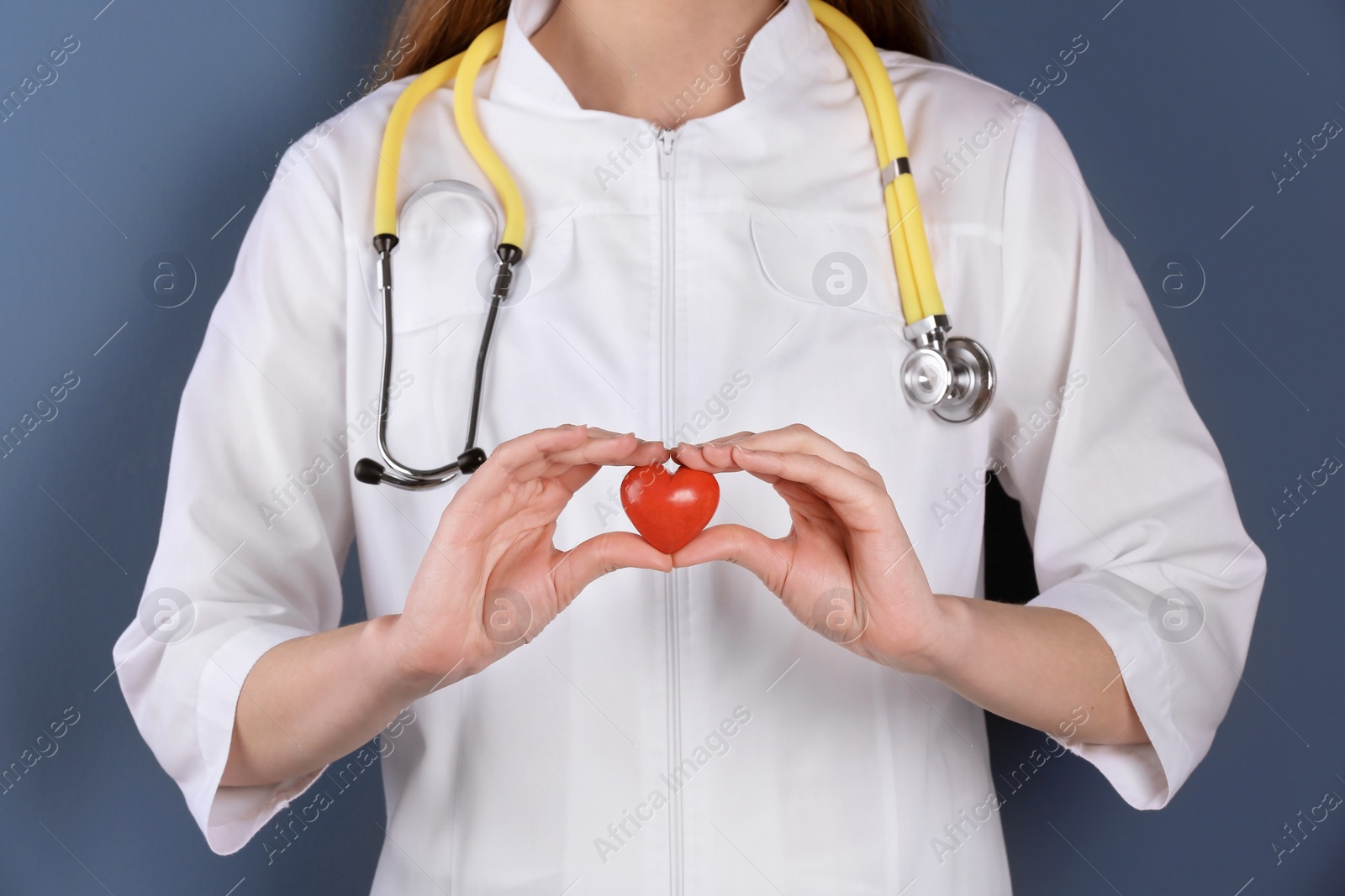 Photo of Doctor holding small heart, closeup. Prevent heart attack