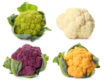 Image of Set of various cauliflower cabbages on white background