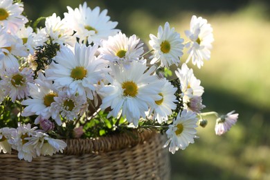 Photo of Beautiful wild flowers in wicker basket on blurred background, closeup