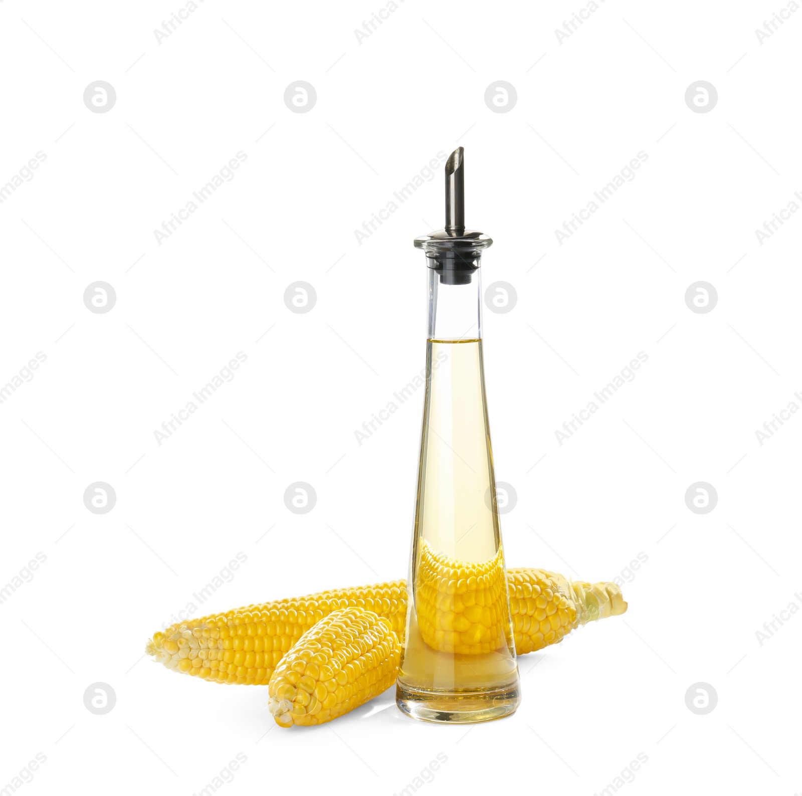 Photo of Bottle of corn oil and fresh cobs on white background