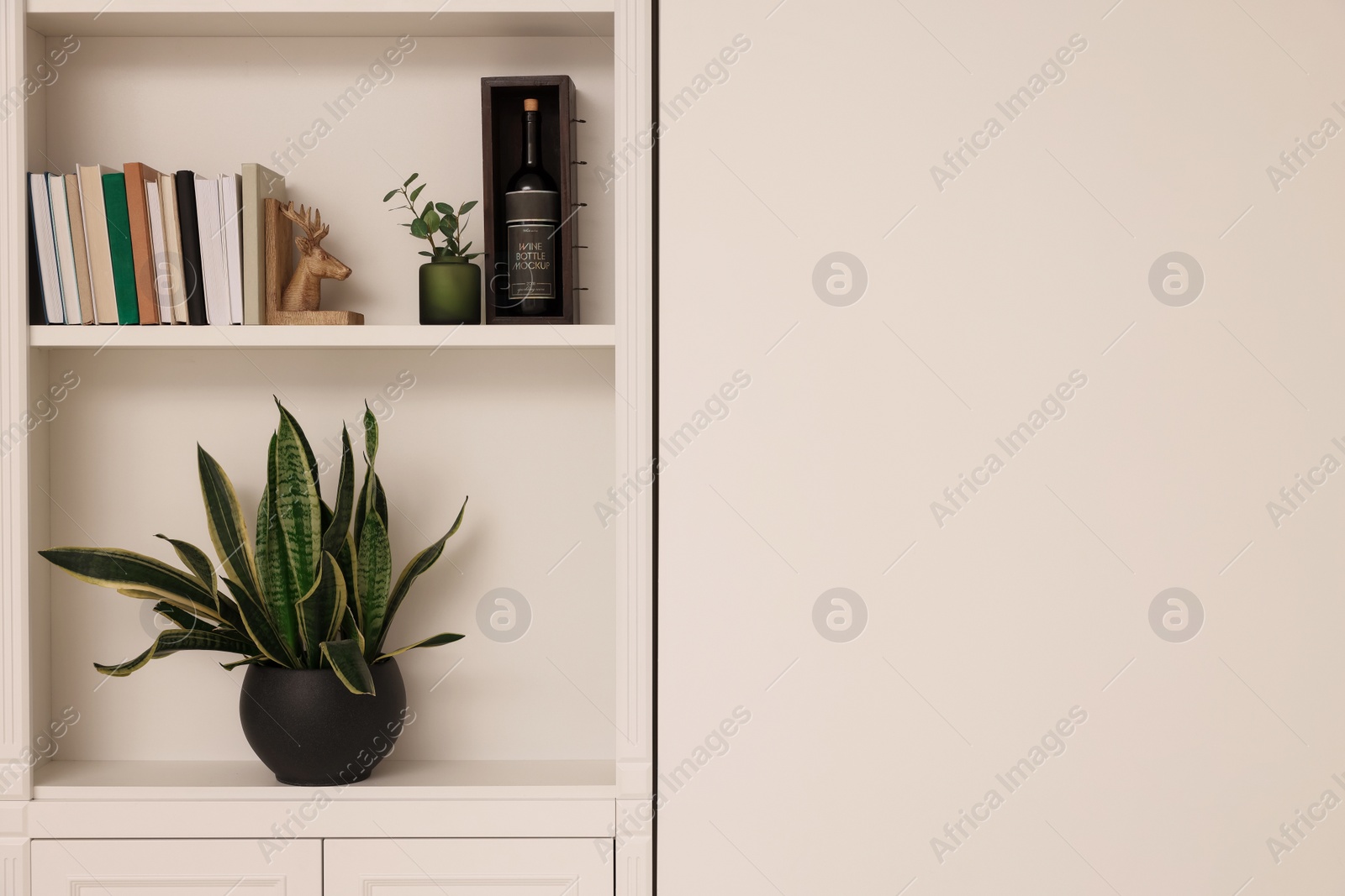 Photo of Shelves with houseplants and different decor near beige wall, space for text. Interior design