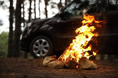 Photo of Beautiful bonfire with burning firewood near car in forest