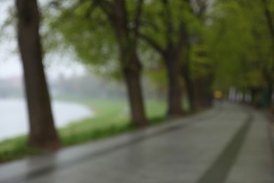 Photo of Blurred view of park on grey day. Bokeh effect