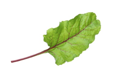 Photo of Green leaf of beet on white background