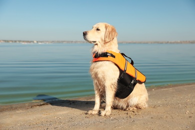 Photo of Dog rescuer in life vest on beach near river
