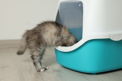 Photo of Cute curious kitten near closed litter box at home